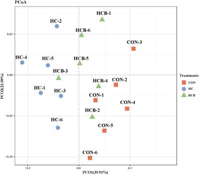 Metagenomic insights into the rumen epithelial integrity responses to the vitamin B1 supplement under high-concentrate diets treatments